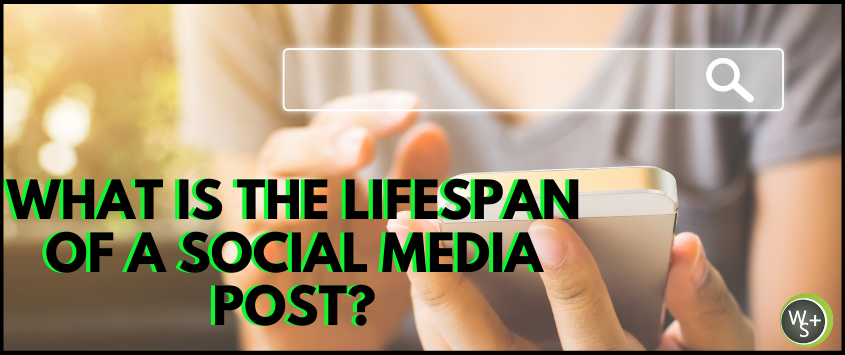 What is the Lifespan of a Social Media Post?