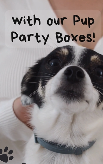 Pup Party Box