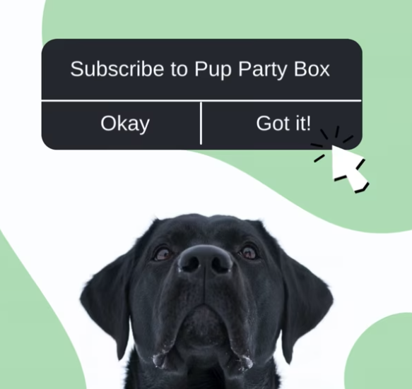 Pup Party Box